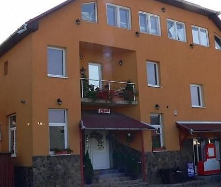 Engi Panzio Bed & Breakfast Ocna de Sus Exterior photo