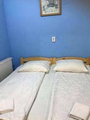Engi Panzio Bed & Breakfast Ocna de Sus Exterior photo