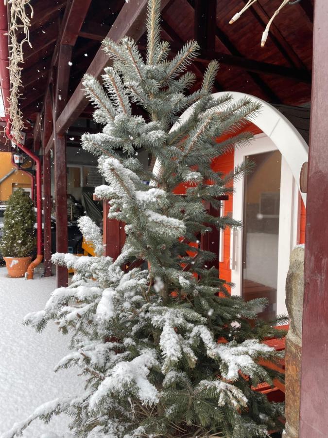 Engi Panzio Bed & Breakfast Ocna de Sus Exterior photo